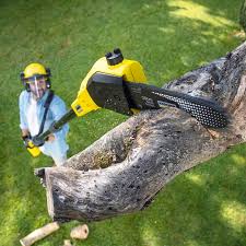 Best Sod Installation  in Wheaton, MD