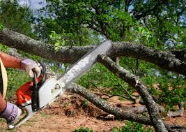 Mulching Services in Wheaton, MD